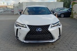 LEXUS UX (1)