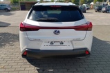 LEXUS UX (4)