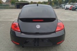 VW Beetle (4)